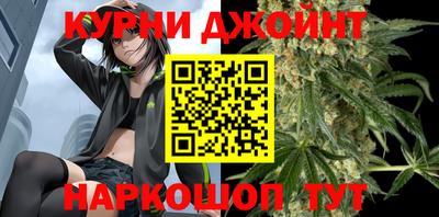 гашик Дубна