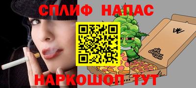 гашик Дубна